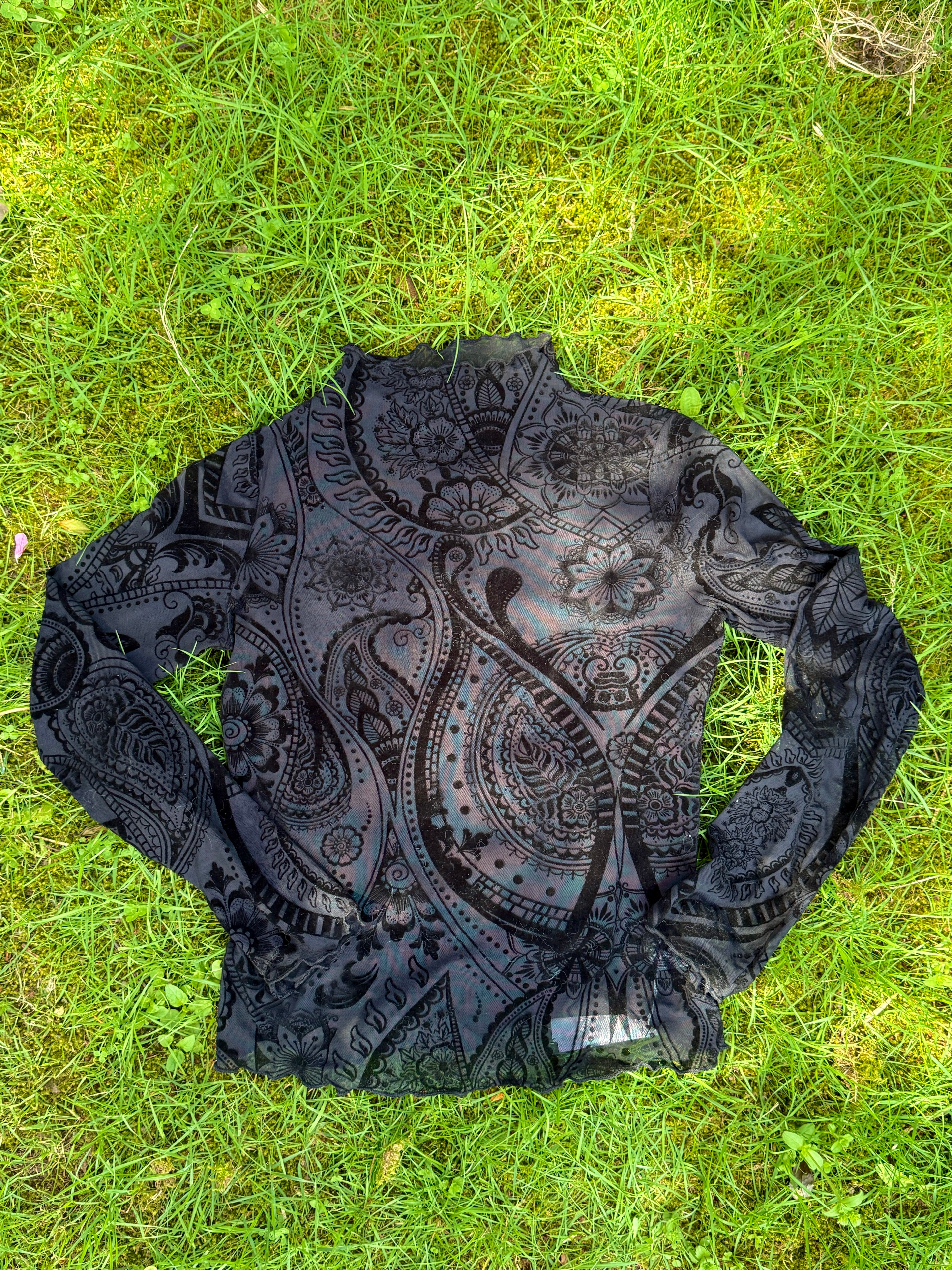 Paisley Velvet Print Mesh Top