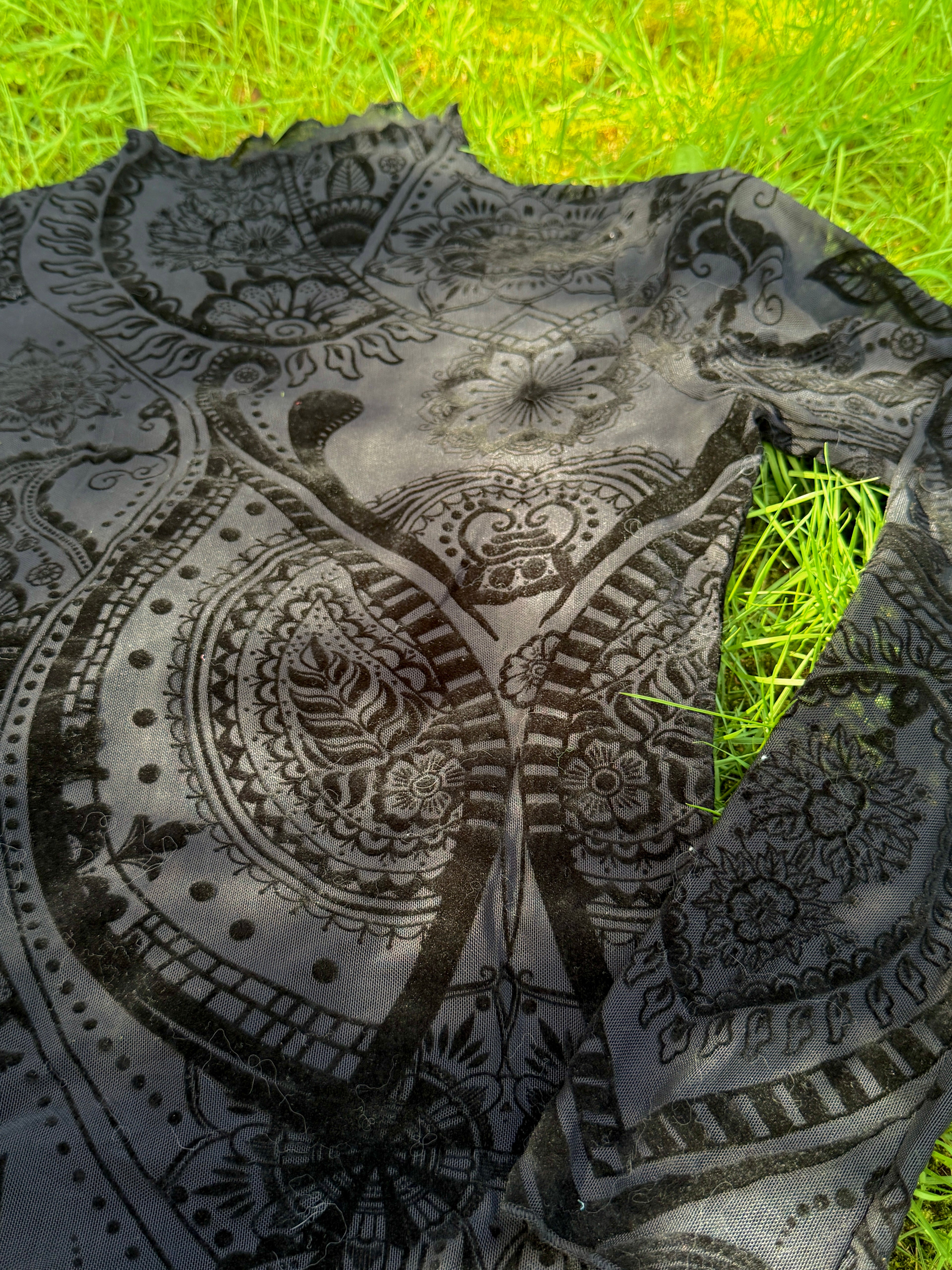 Paisley Velvet Print Mesh Top