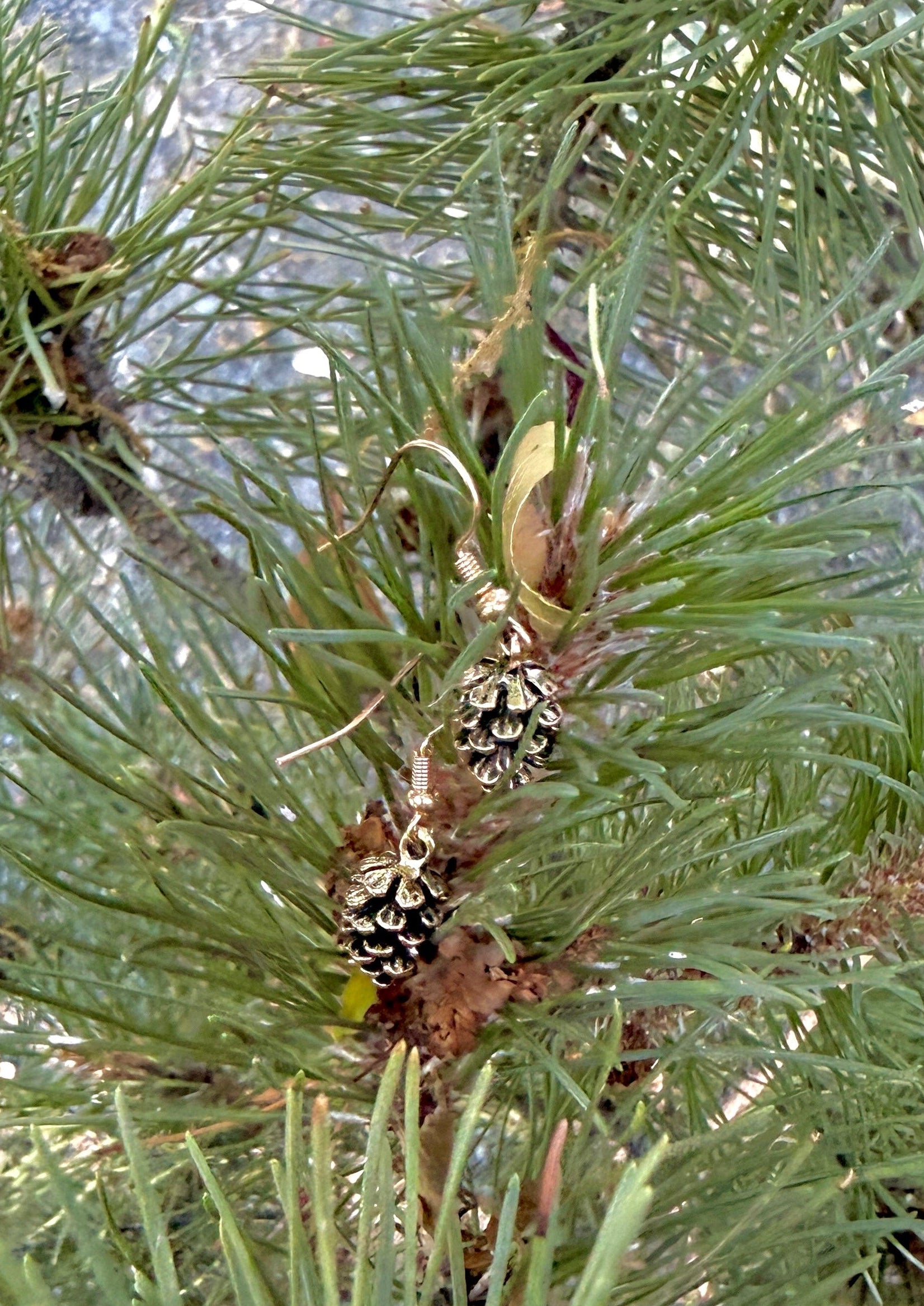 Pine Cone earrings