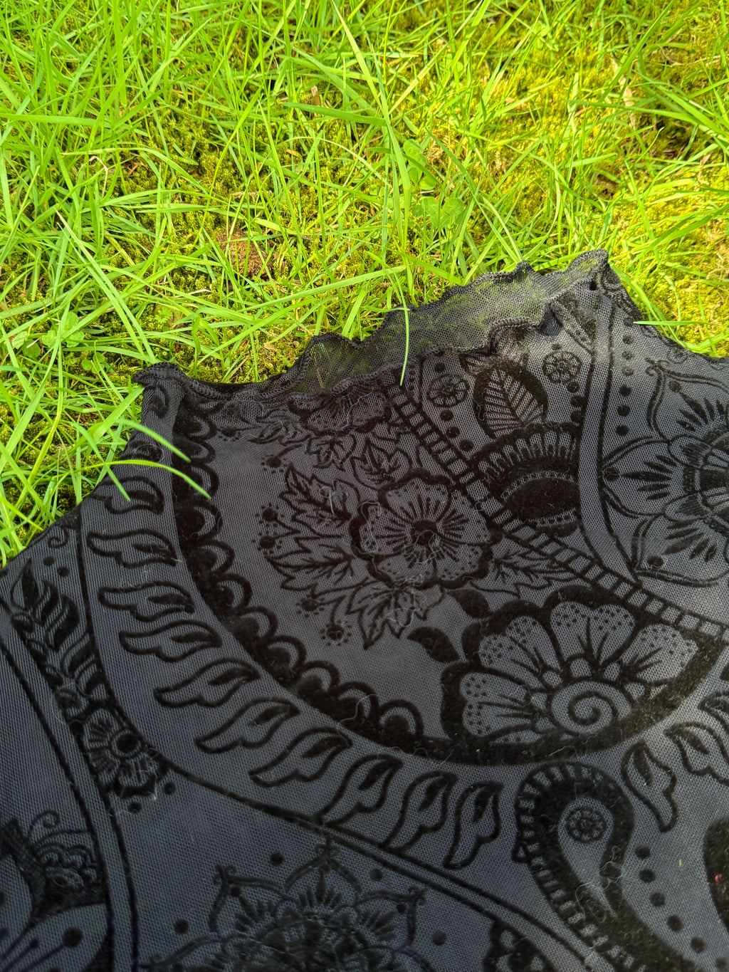 Paisley Velvet Print Mesh Top