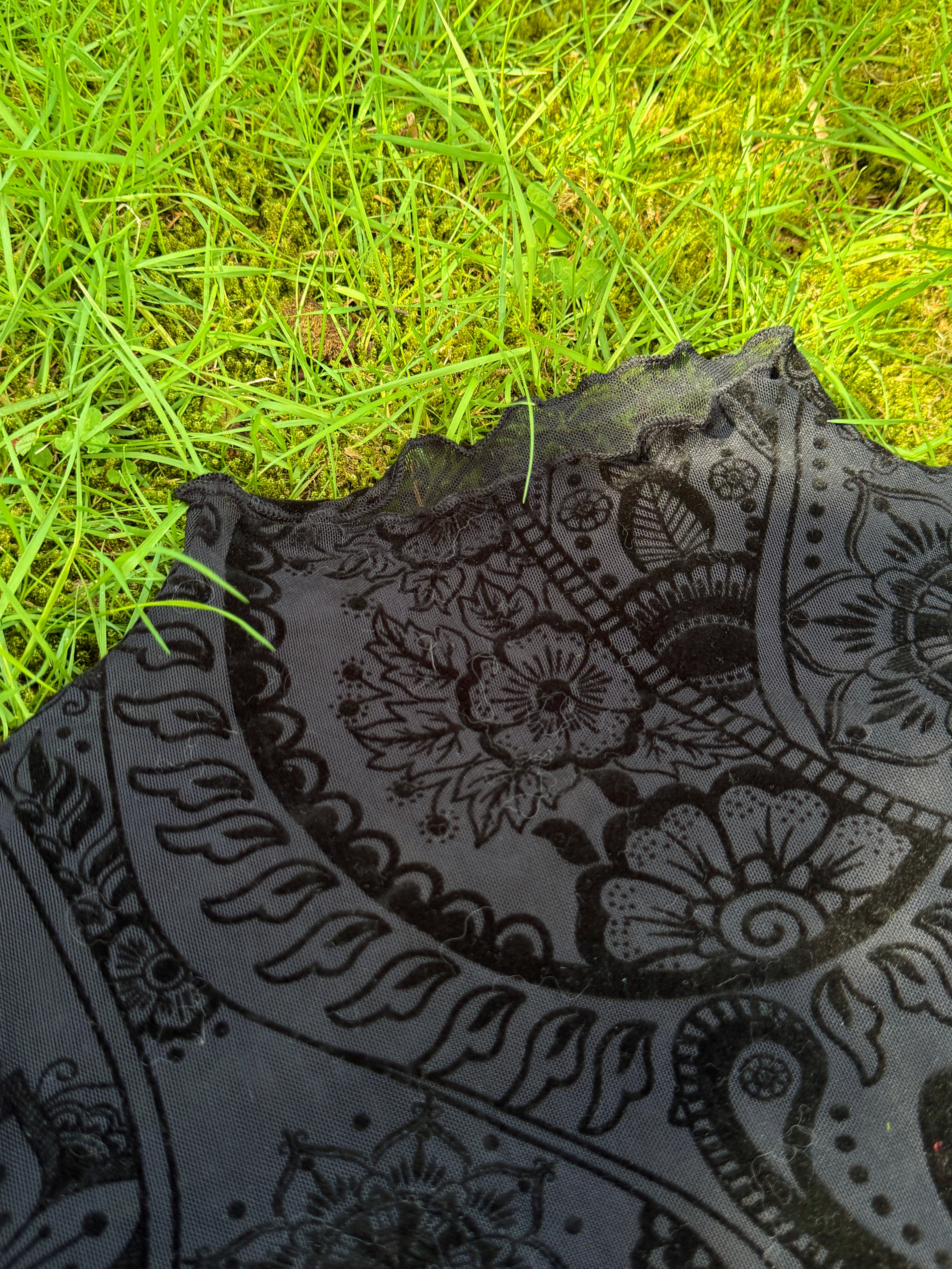 Paisley Velvet Print Mesh Top